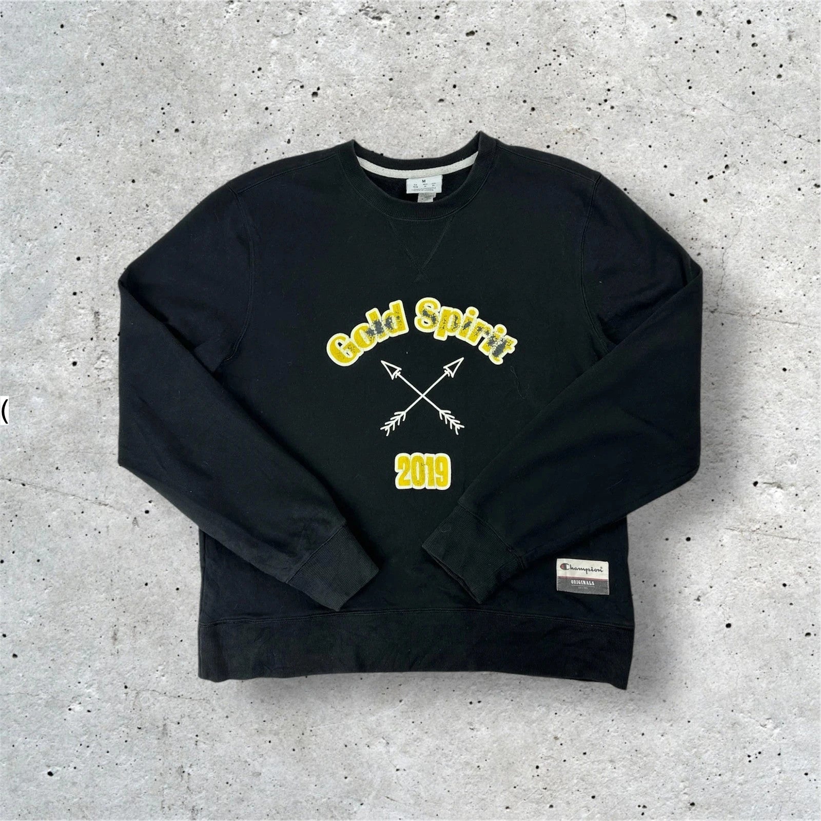 Champion Jumper - Men’s Size Medium