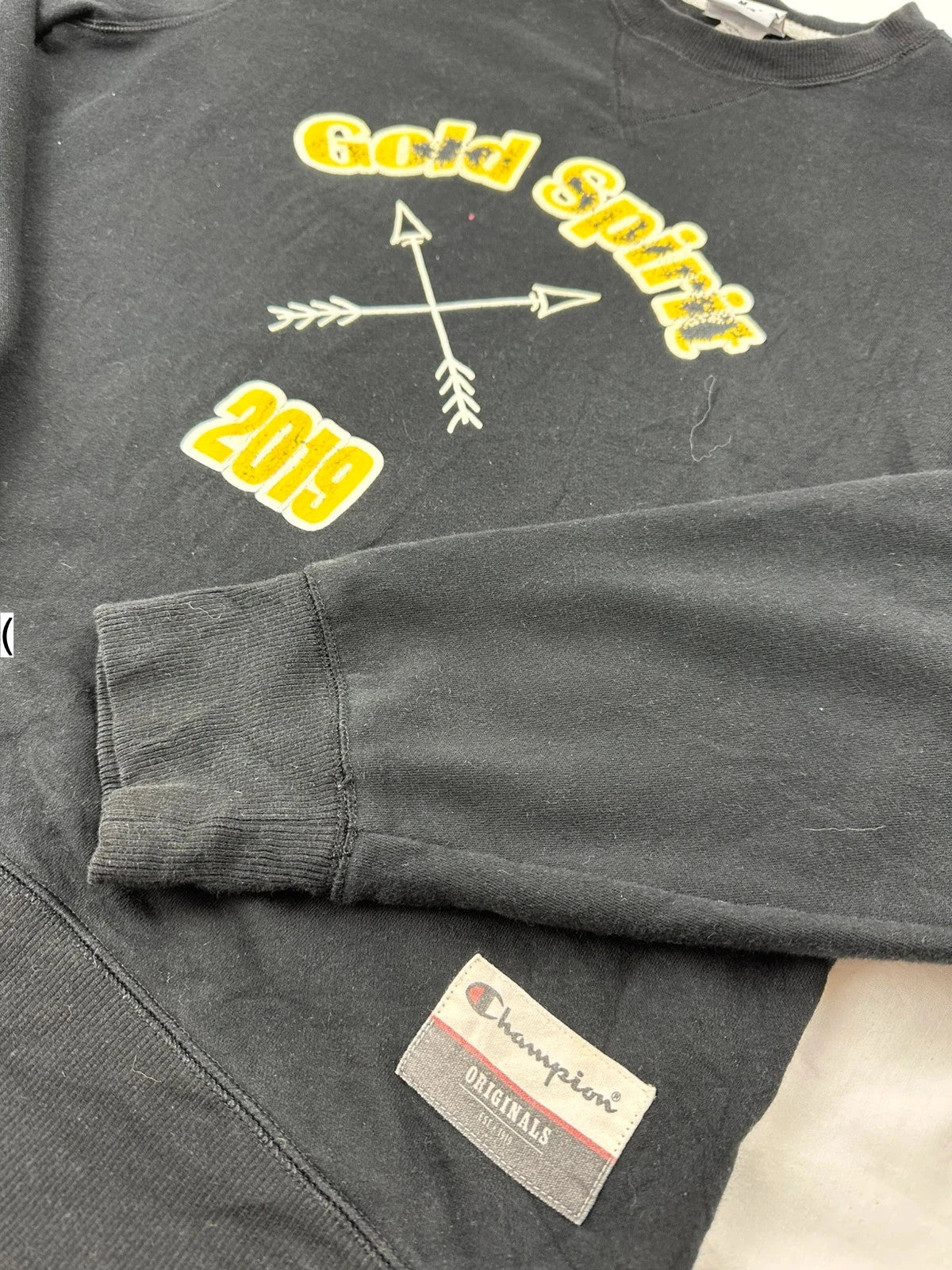 Champion Jumper - Men’s Size Medium