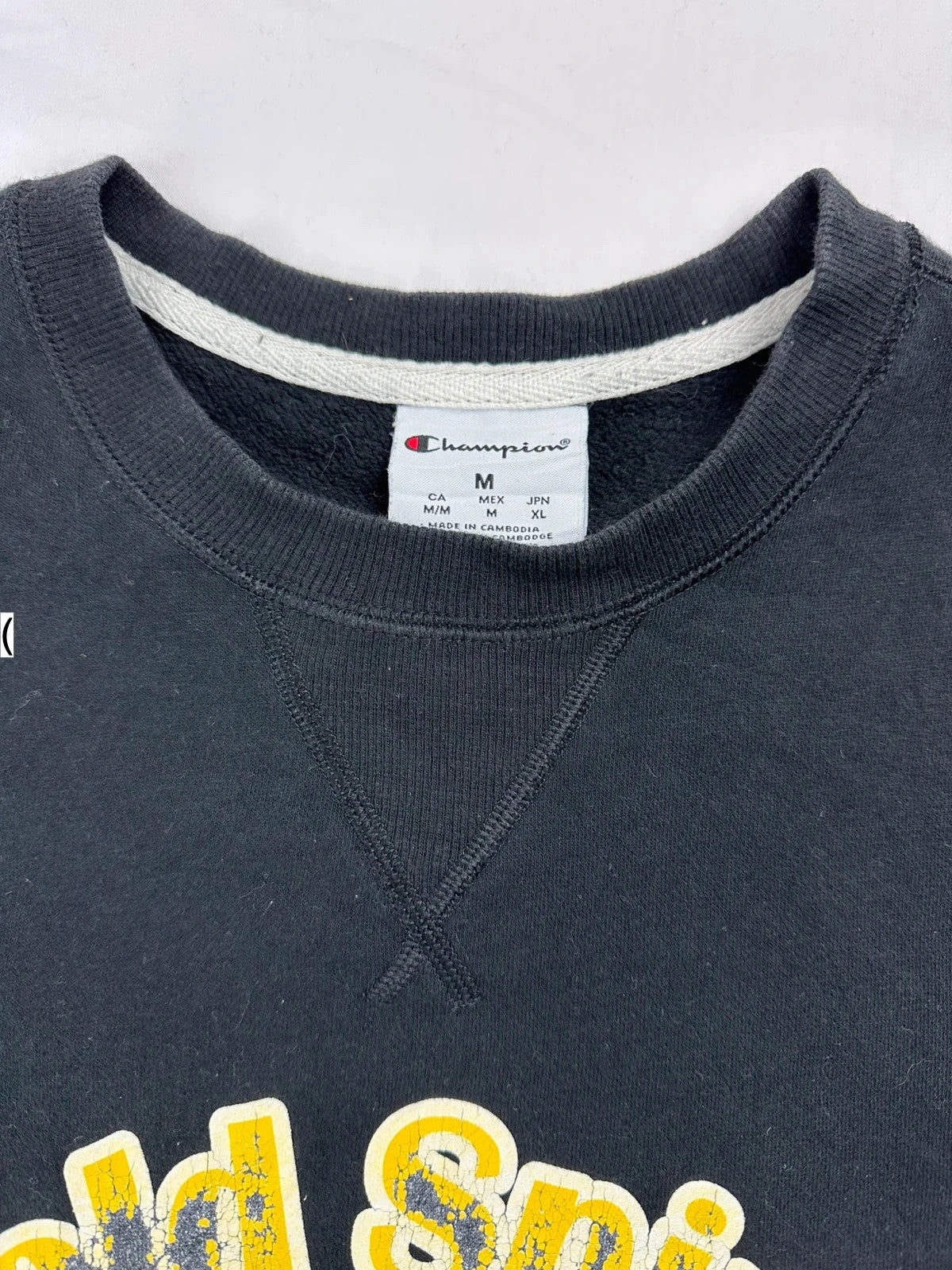 Champion Jumper - Men’s Size Medium